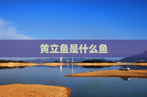 黄立鱼是什么鱼