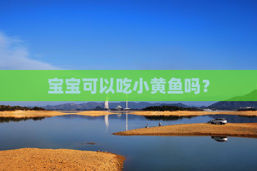 宝宝可以吃小黄鱼吗？