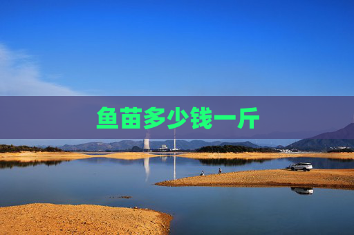 鱼苗多少钱一斤