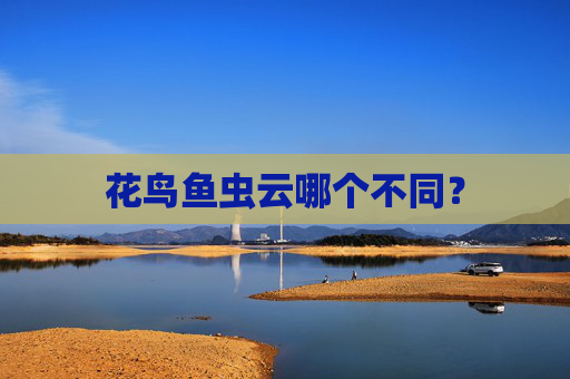 花鸟鱼虫云哪个不同？