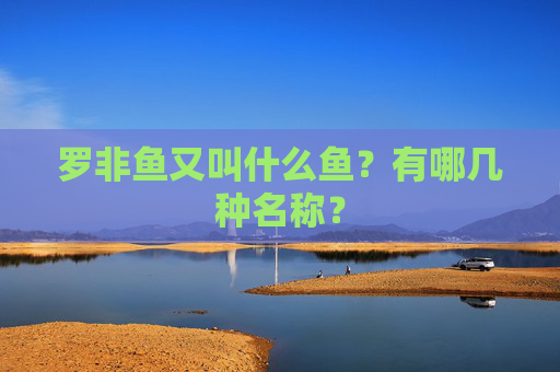 罗非鱼又叫什么鱼？有哪几种名称？