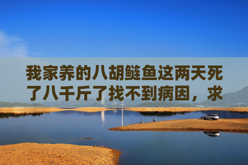 我家养的八胡鲢鱼这两天死了八千斤了找不到病因，求帮助，谢谢