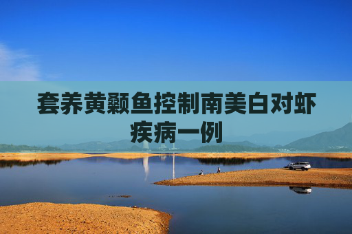 套养黄颡鱼控制南美白对虾疾病一例