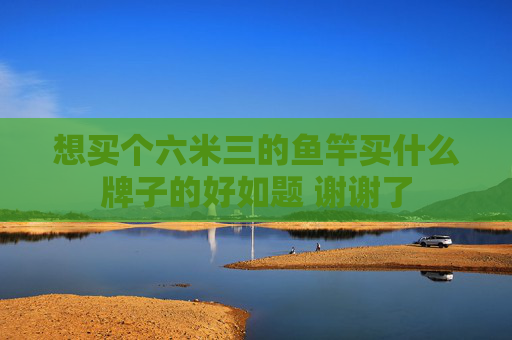 想买个六米三的鱼竿买什么牌子的好如题 谢谢了