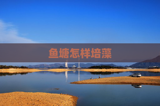 鱼塘怎样培藻