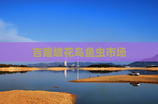 吉隆坡花鸟鱼虫市场