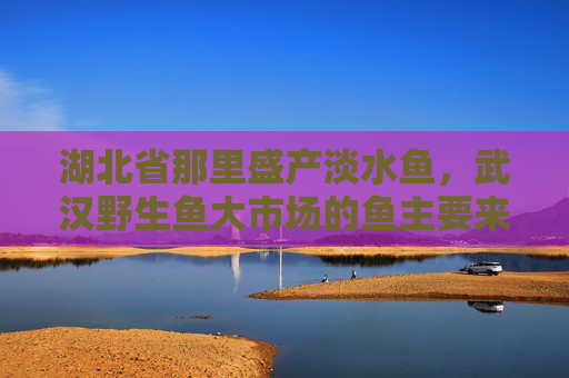 湖北省那里盛产淡水鱼，武汉野生鱼大市场的鱼主要来自哪里？