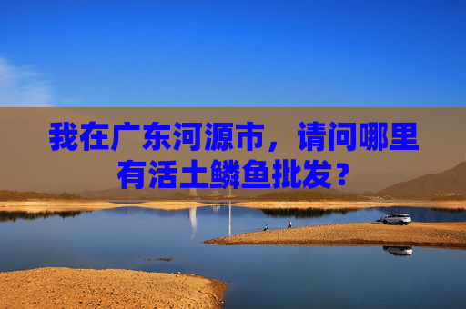 我在广东河源市，请问哪里有活土鳞鱼批发？