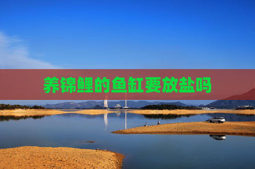 养锦鲤的鱼缸要放盐吗
