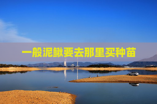 一般泥鳅要去那里买种苗