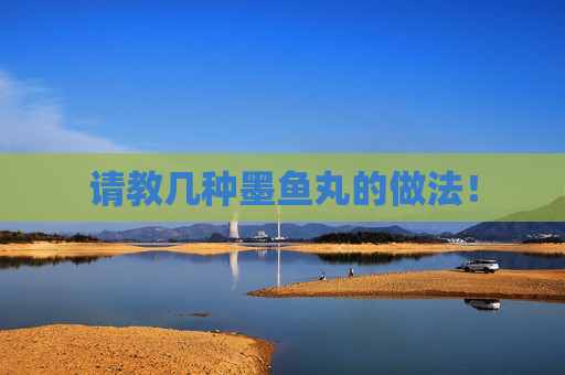 请教几种墨鱼丸的做法！