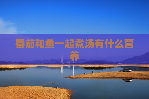 番茄和鱼一起煮汤有什么营养