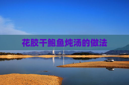 花胶干鲍鱼炖汤的做法