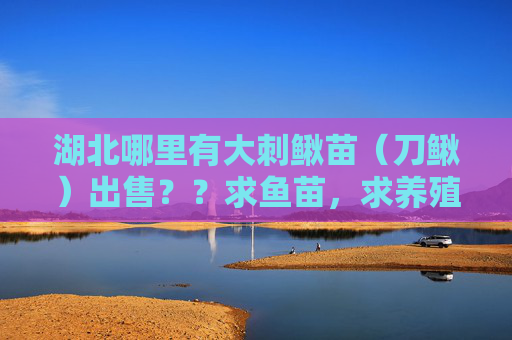 湖北哪里有大刺鳅苗（刀鳅）出售？？求鱼苗，求养殖技术！