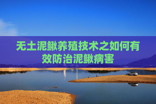 无土泥鳅养殖技术之如何有效防治泥鳅病害