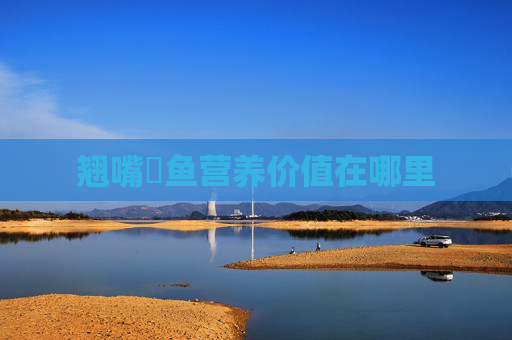 翘嘴鲌鱼营养价值在哪里