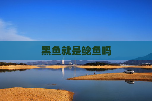 黑鱼就是鲶鱼吗
