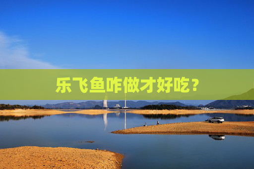乐飞鱼咋做才好吃？