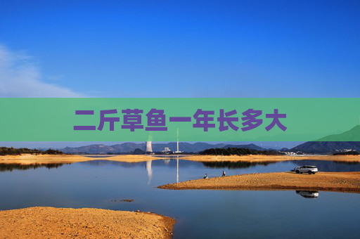 二斤草鱼一年长多大