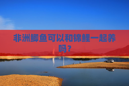 非洲鲫鱼可以和锦鲤一起养吗？