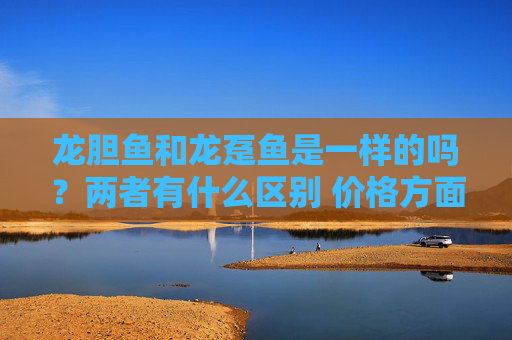 龙胆鱼和龙趸鱼是一样的吗？两者有什么区别 价格方面是多少？