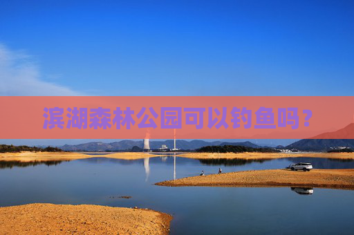 滨湖森林公园可以钓鱼吗？