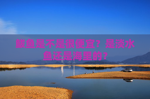 鲅鱼是不是很便宜？是淡水鱼还是海里的？