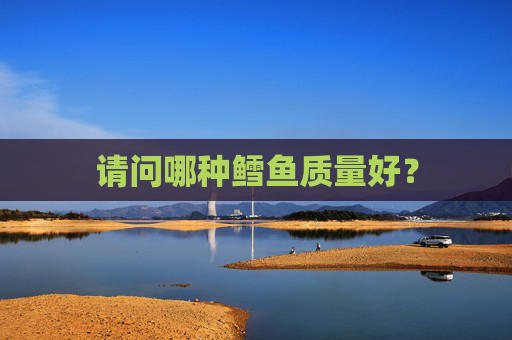 请问哪种鳕鱼质量好？