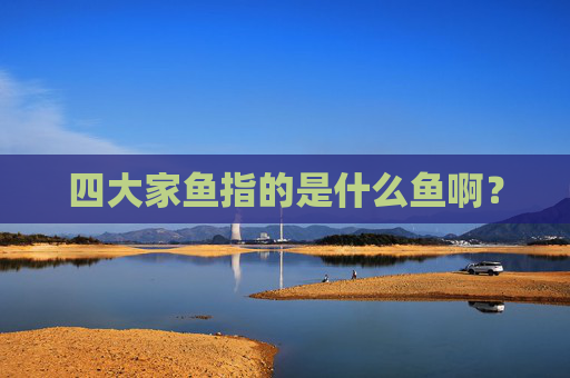 四大家鱼指的是什么鱼啊?