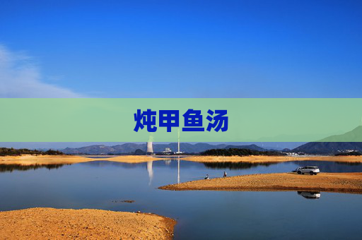 炖甲鱼汤