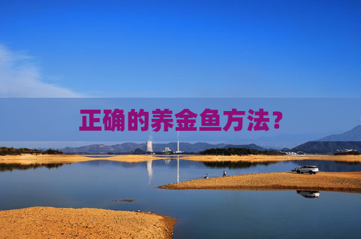 正确的养金鱼方法?