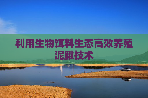 利用生物饵料生态高效养殖泥鳅技术