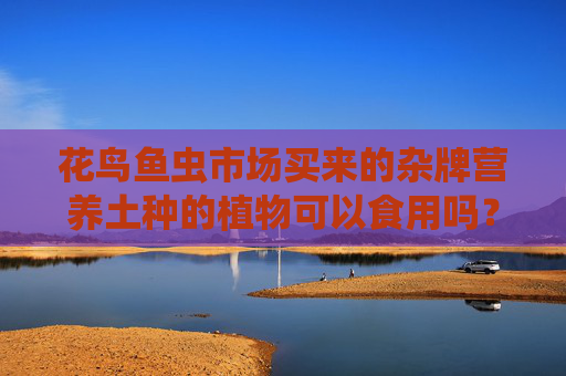 花鸟鱼虫市场买来的杂牌营养土种的植物可以食用吗？