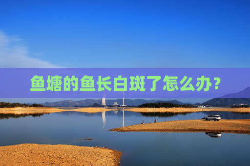 鱼塘的鱼长白斑了怎么办？