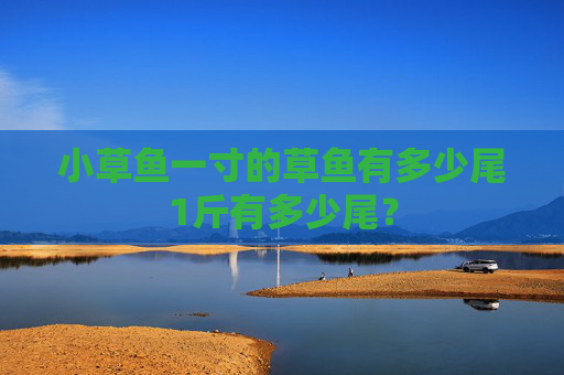 小草鱼一寸的草鱼有多少尾1斤有多少尾？