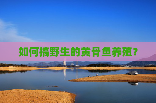 如何搞野生的黄骨鱼养殖？