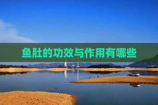 鱼肚的功效与作用有哪些