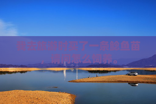 我去旅游时买了一条鲶鱼苗,请问怎么饲养。 我去旅游时买了一条鲶鱼苗,请问怎么饲养。