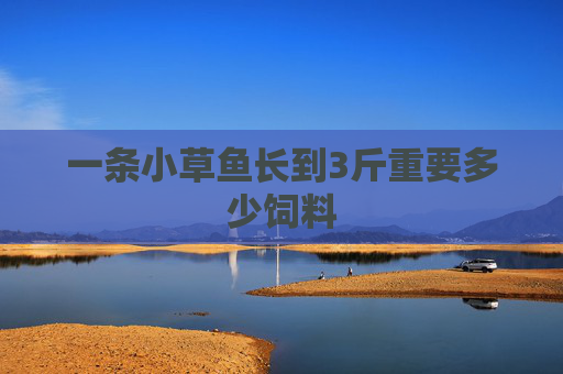 一条小草鱼长到3斤重要多少饲料