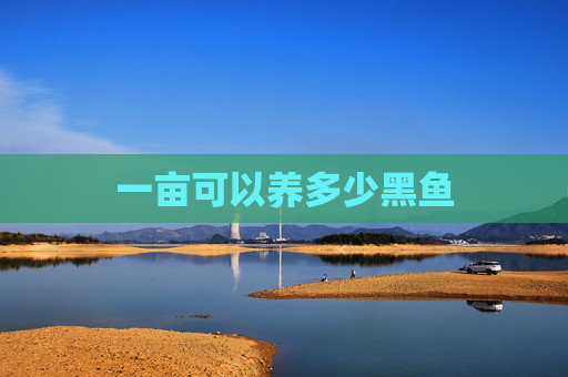 一亩可以养多少黑鱼