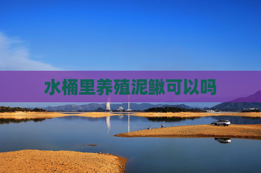 水桶里养殖泥鳅可以吗