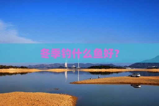 冬季钓什么鱼好？