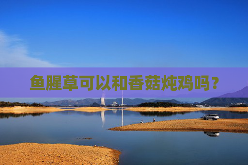 鱼腥草可以和香菇炖鸡吗？