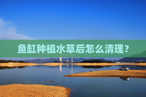 鱼缸种植水草后怎么清理？