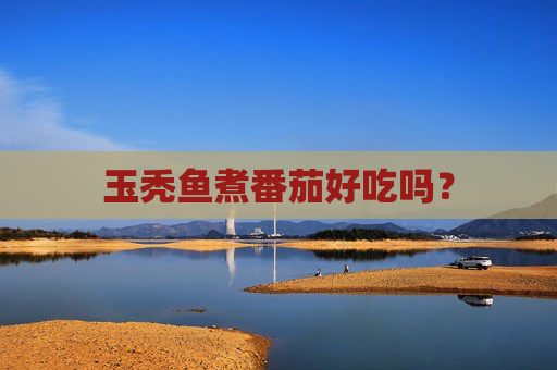 玉秃鱼煮番茄好吃吗？