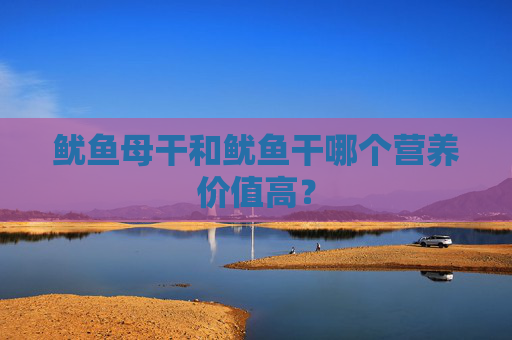 鱿鱼母干和鱿鱼干哪个营养价值高？