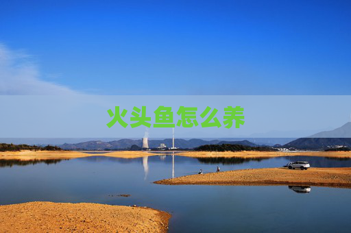 火头鱼怎么养