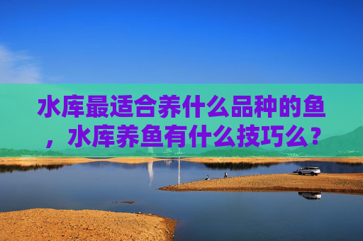 水库最适合养什么品种的鱼，水库养鱼有什么技巧么？