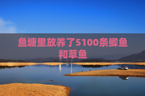 鱼塘里放养了5100条鲫鱼和草鱼