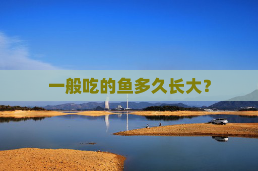一般吃的鱼多久长大？
